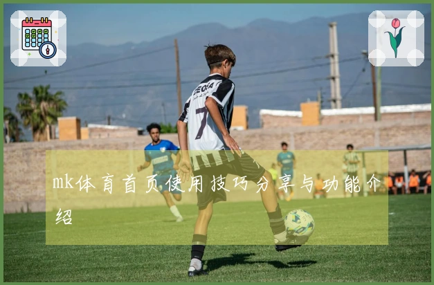 mk体育首页使用技巧分享与功能介绍